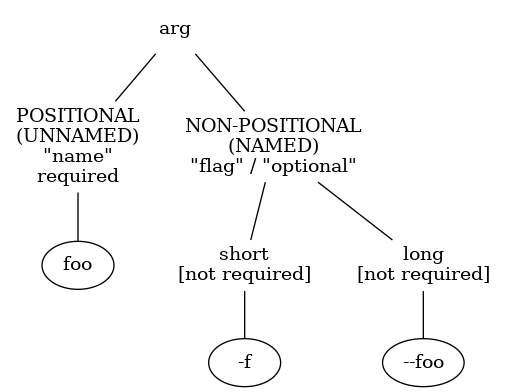 argparse-names-flags.png